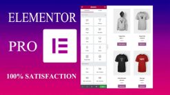 Elementor pro