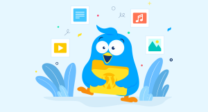 filebird pro